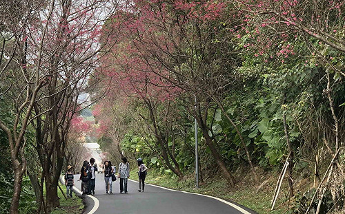 連假旅遊　搭國道客運票價最高5折、台高鐵轉乘也有減免