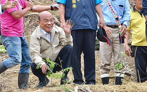 到大女婿家鄉都蘭部落種樹  蘇揆盼原住民年輕人返鄉經營