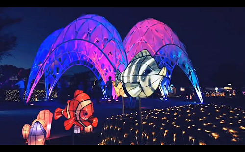 台灣燈會裝置藝術「珊瑚之心」 獲國際設計大獎賽提名