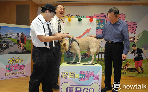 新北獲4獎居全國之冠，動保「士官長」再添紀錄