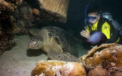美麗如畫的度假勝地！馬來西亞私房潛水秘境原來是這裡...