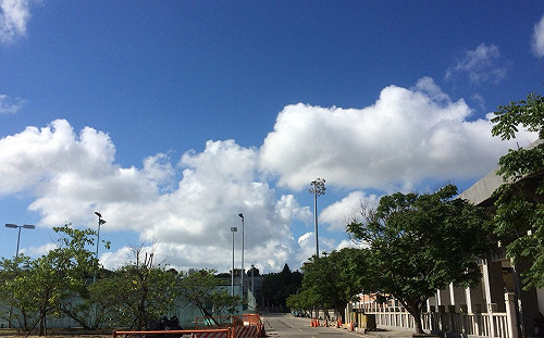 台北中午高溫飆32.4度！創百年來春分最高紀錄