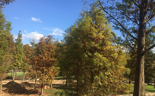 天氣超好熱到爆  南台灣高溫衝破30°C