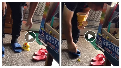 被孫惡搞！撿好撿滿笑容漸漸母湯　阿公爆氣譙三字網笑翻