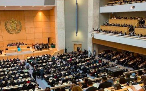 中國打壓三度未受邀WHA  德澳表態挺台灣參加