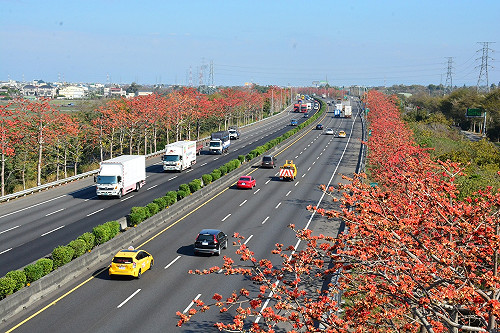 春暖花開！國道休息站也成熱門賞花點