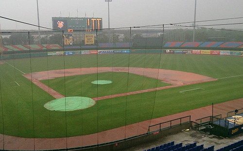 中華職棒／洲際球場換隱形護網  休息室升級沒下文