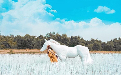 踏進夢幻海島新樂園！台南月牙灣變身超夯打卡熱點