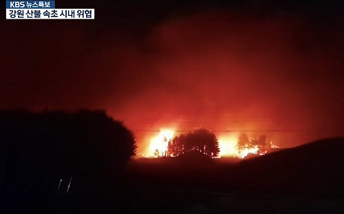 南韓江原道森林大火  藝人紛紛捐款賑災