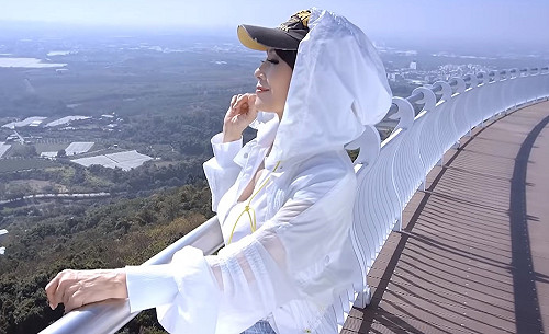 張琍敏罵「蛇鼠一窩」 陳菊委任律師追訴提告