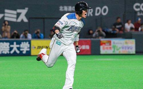 日職／火腿續戰軟銀　王柏融扛指定打擊第五棒