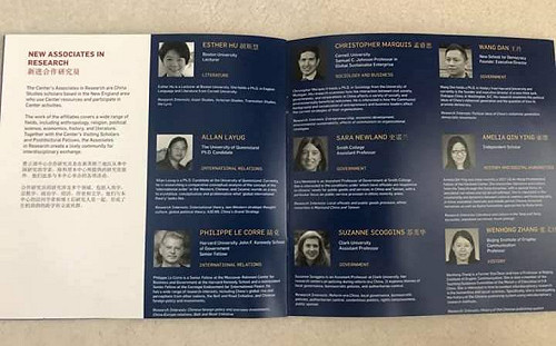 遭指非費正清中心合作研究員 王丹怒嗆陳宜民： 無腦、典型中二病