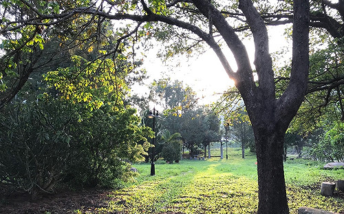 周一熱到周五！高壓影響  本周全台各地晴朗炎熱