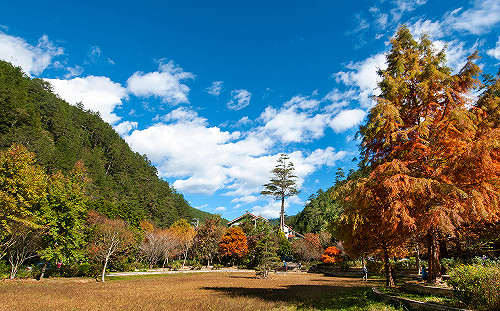 春遊就要這樣玩》桃園、台中必去十大熱門景點看這裡