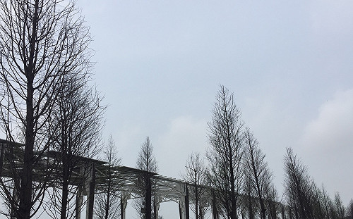 外出帶傘！東北部多雨涼爽 高溫僅25度