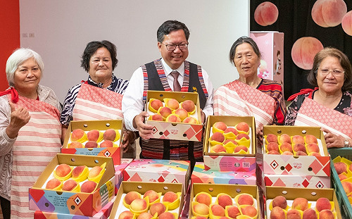 桃園「媽媽桃」開放團購　預計５月底前完銷７千盒