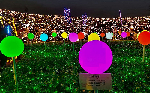 把握最後一周機會來蝴蝶公園　50萬顆LED打造震撼光雕秀