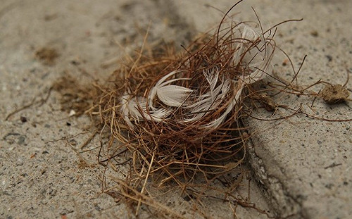 （影）民眾惡意捣毀燕巢 居民影帶交警方追兇