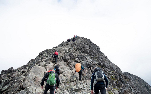 登山狂熱者膝蓋驚「磨光」！專家公開2招加速復原