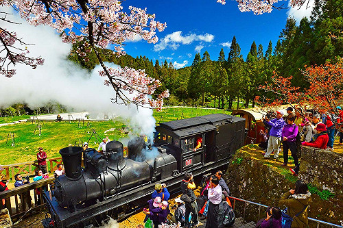 這25家旅行社別碰！觀光局公布不合格旅遊業者名單