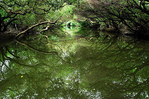 認明合法房間標章 入住3步驟安心玩台南！