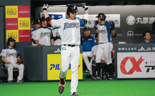 日職／火腿爭取橫掃西武　王柏融扛先發第五棒