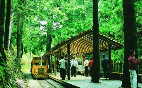 利奇馬颱風來襲！太平山 8／8 中午預警性休園