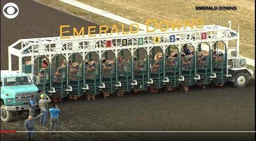 (影)猛龍出閘狂奔爭第一　療癒場景彷彿回到侏儸紀