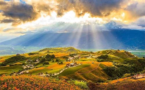 上山賞花前必看！花蓮金針花季交管措施看這裡
