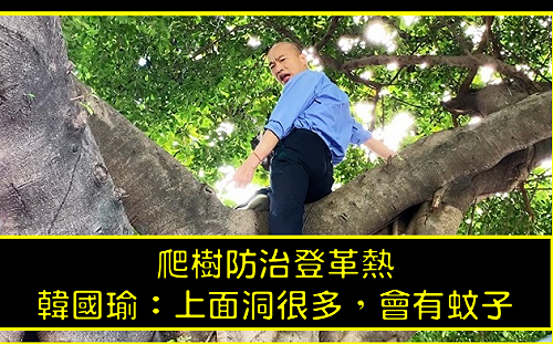 其邁有教．國瑜沒聽 免爬樹還有這招…