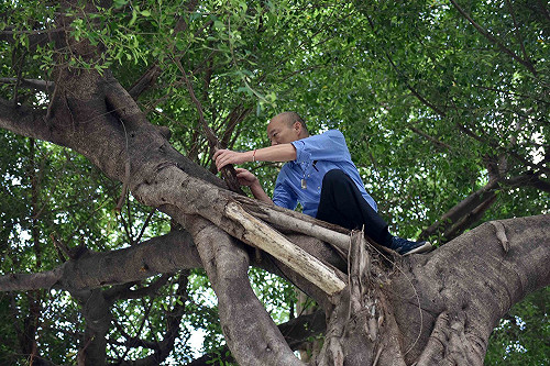 高雄登革熱恐大蔓延！  謝長廷籲韓國瑜「帶頭少辦活動」