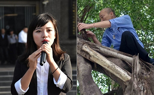 發泡劑填樹洞能解決登革熱？黃捷建議追本溯源從這問題下手...