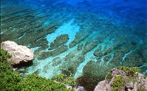 不畏來台陸客限縮 屏東縣拼寒帶國家與穆斯林觀光