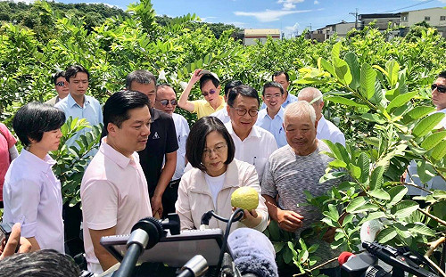 不擔心郭柯合作選總統？蔡英文：任何人都有參選權利