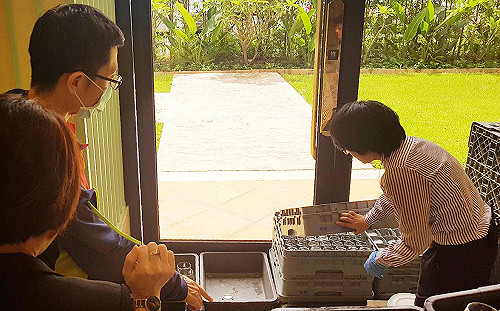 知名百匯餐廳驚見老鼠亂竄　顧客徒手抓結束驚魂記