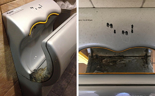 手越烘越髒！洗完烘手「細菌狂吹」　專家一招無敵大神解