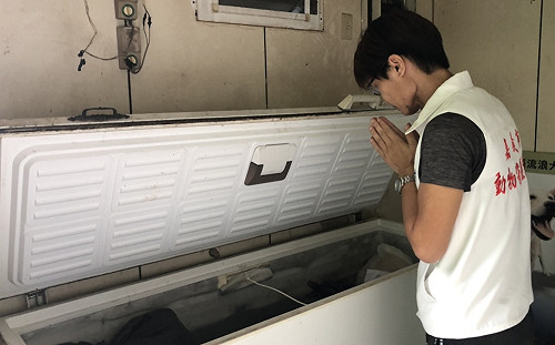 嘉義民雄毒狗大屠殺12隻狗慘死   動保人士嚴厲譴責