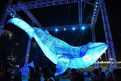 一路玩到11月！國際級燈光節澎湖華麗登場