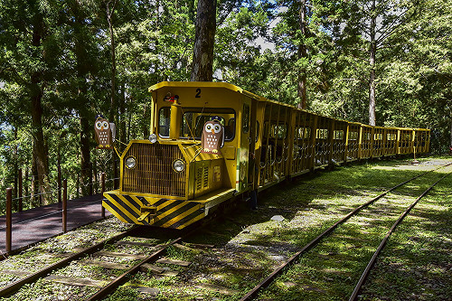 白鹿颱風來襲  太平山森林遊樂區、12條步道暫不開放