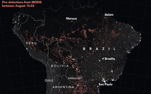 (影)亞馬遜雨林大火不滅 歐盟南美貿易協議恐難過關