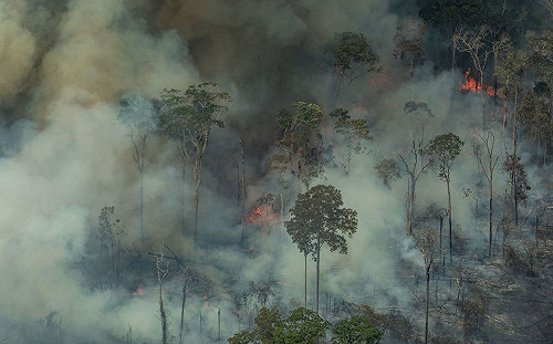G7欲金援拯救燃「林」之急 巴西不領情