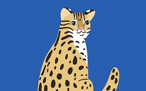 台灣駐俄羅斯代表處已和插畫家取得聯繫  網友大讚高效率