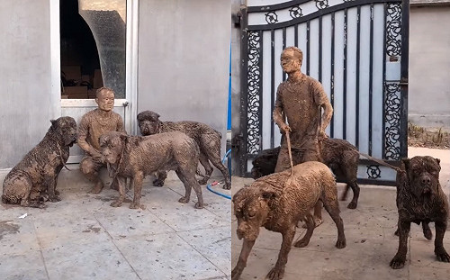 男子遛大狗慘被拖進泥坑　秒變「兵馬俑」網笑瘋！