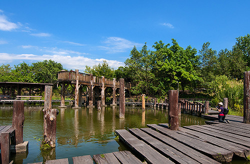 宜花東轉乘好省錢！明年公共運輸轉乘優惠不中斷