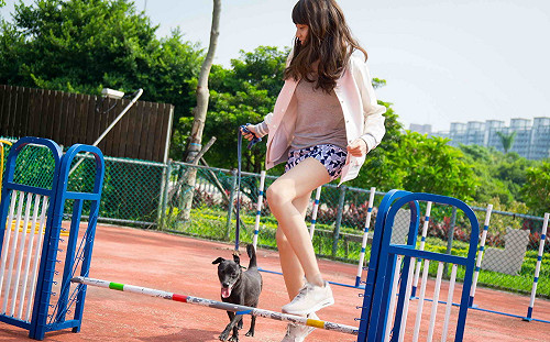 「毛寶貝健康日」9/28中和登場  報名要快