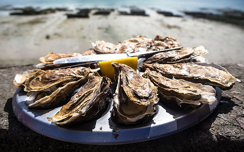 大啖生蠔！男差點噎到　下秒竟吐出多達「48顆珍珠」