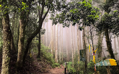 甩掉中秋大餐脂肪！這4步道能看美景又有運動效果