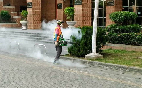 成大發生登革熱群聚感染  學生活動中心無限期關閉