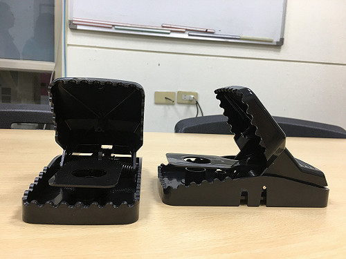 塑膠製捕鼠夾遭罰1萬5！動保處：有鋸齒、強力彈簧就是獸鋏