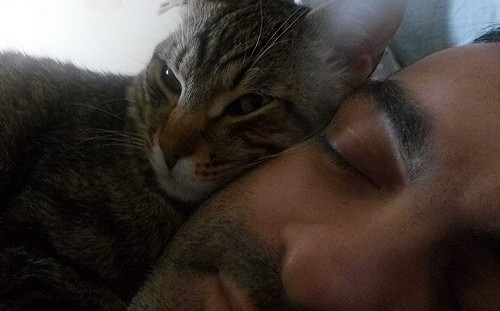 喵星人救主！義大利夫妻驚醒逃過土石流死劫